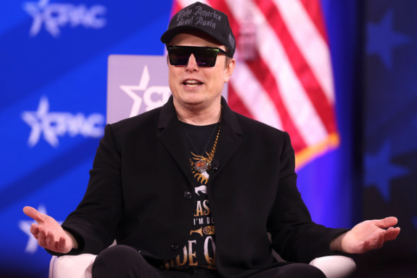 Elon Musk in Maga hat